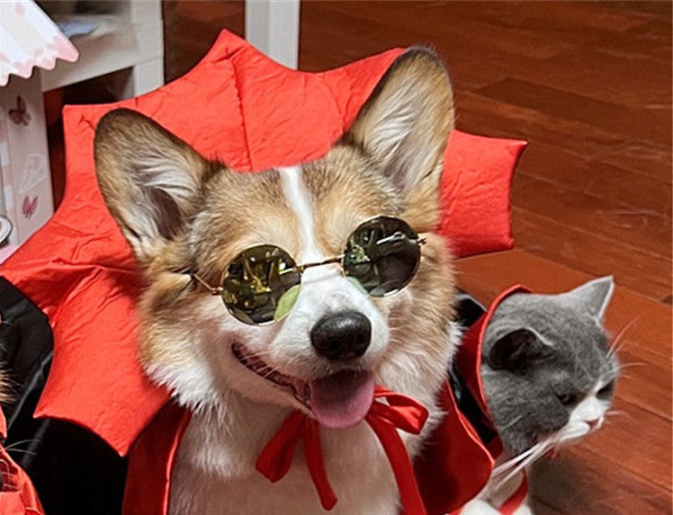 Cute Vampire Cape for Pets