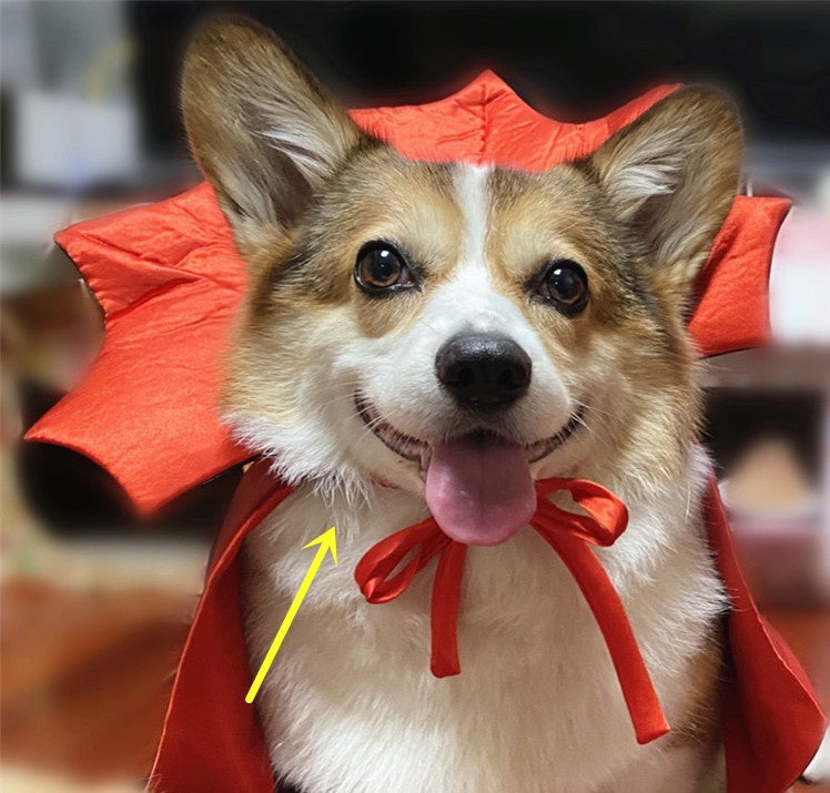 Cute Vampire Cape for Pets